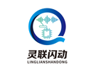 武汉市灵联闪动科技有限公司
